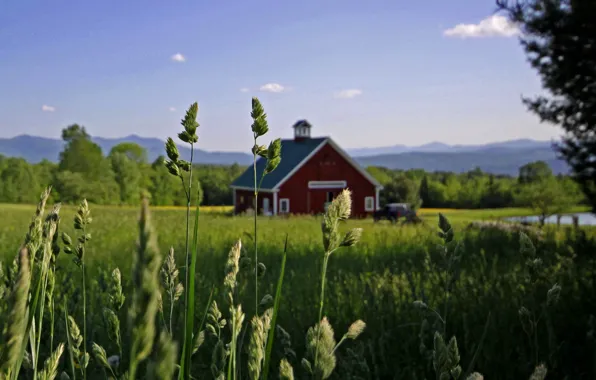 Picture lake, red barn in the field, field, forest, home