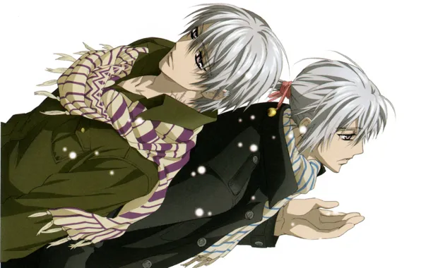 Snow, scarf, white background, brothers, art, Gemini, vampire knight, knight-vampire