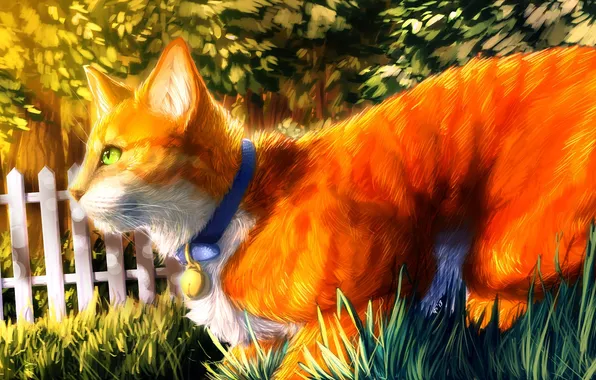 Picture grass, blue, the fence, art, collar, painting, green eyes, red cat
