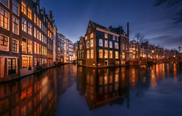 Light, night, the city, lights, reflection, street, Windows, home