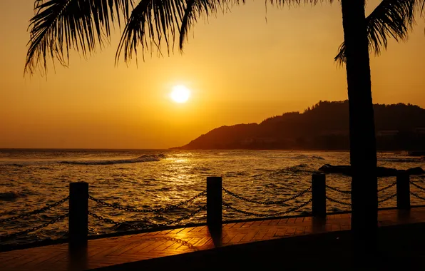 Picture sea, beach, summer, the sky, sunset, palm trees, summer, beach