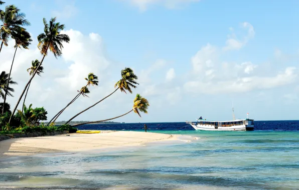 Beach, palm trees, the ocean, boat, Laguna