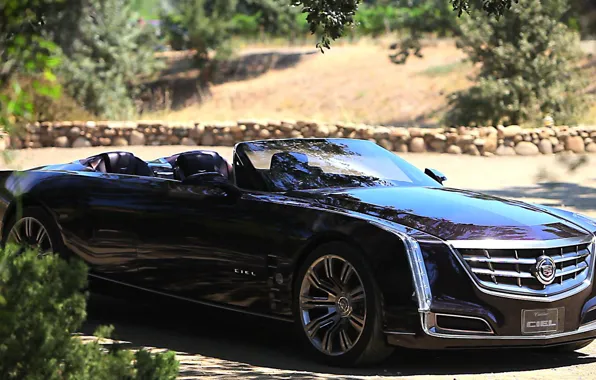 Picture car, cadillac, luxury, executive class