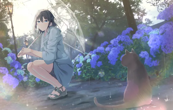 Cat, girl, rain, hydrangea