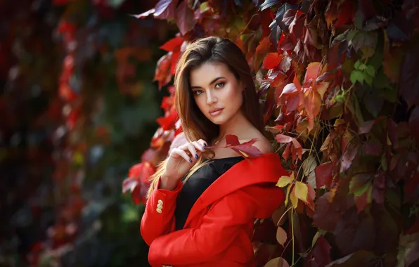 Picture autumn, look, leaves, the sun, model, portrait, makeup, hairstyle