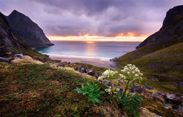 Sea, beach, leaves, clouds, sunset, stones, rocks, hills