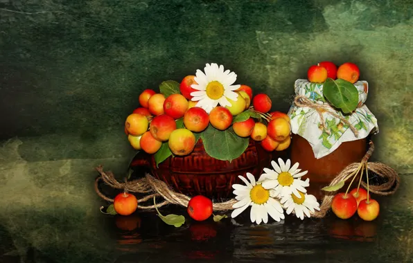 Flowers, nature, mood, apples, chamomile, beauty, vase, basket