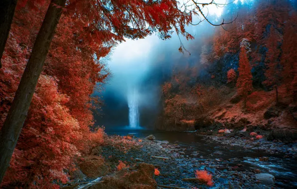 Autumn, nature, fog, waterfall, United States, Washington, Snoqualmie Falls