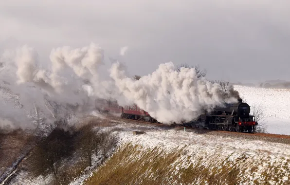 Train, couples, railroad