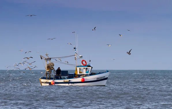 Picture sea, boat, seagulls, fishermen