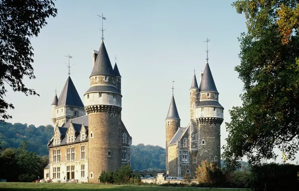 Picture Forest, Castle, Belgium
