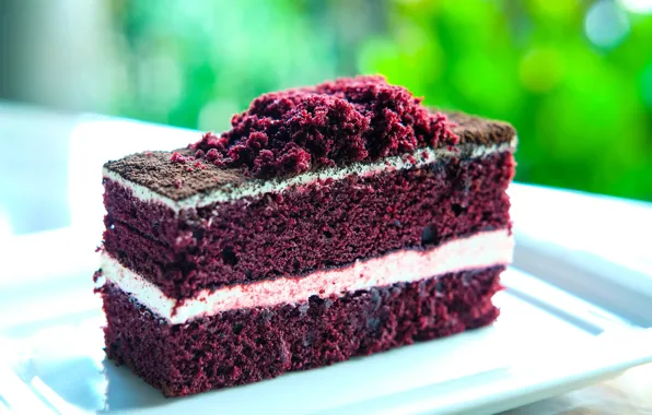 Cake, cake, dessert, sweet, sweets, biscuit
