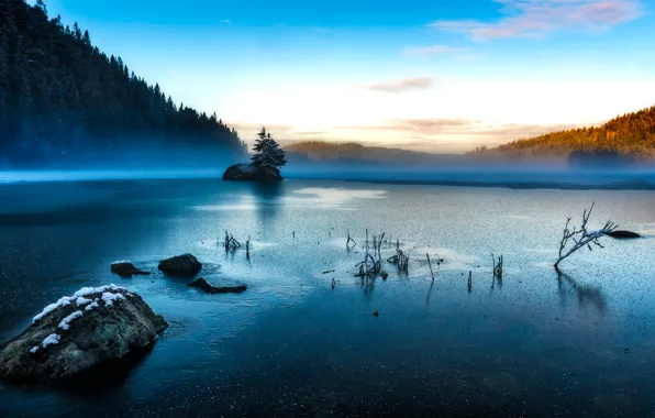 Wallpaper Fog, Lake, Morning For Mobile And Desktop, Section пейзажи ...