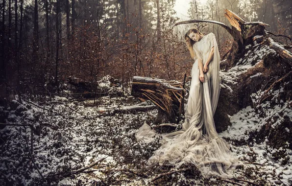 Picture forest, girl, snow, pose, the situation, dress, snag, VOODOO Wonderland