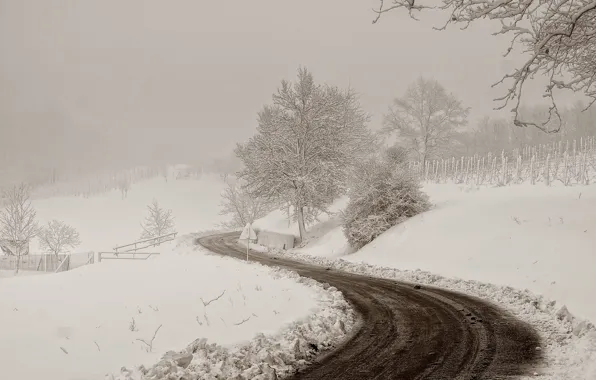 Winter, road, snow, landscape