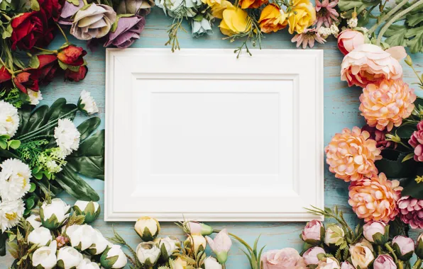 Flowers, roses, frame, buds, a lot, wood, flowers, Spring