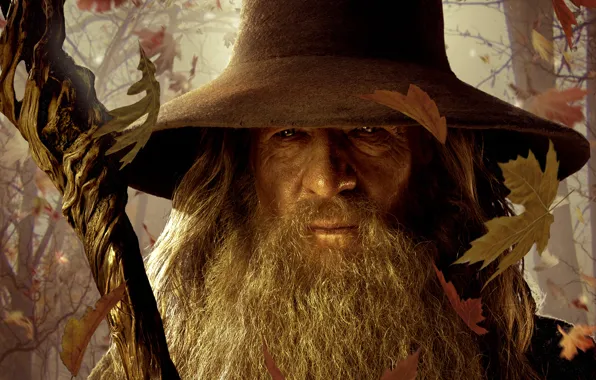The Lord of the rings, staff, The Lord of the Rings, Gandalf, fallen leaves, Gandalf, …