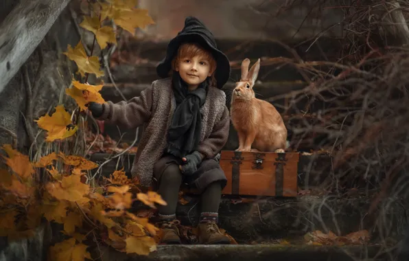 Picture autumn, leaves, branches, nature, animal, boy, rabbit, ladder
