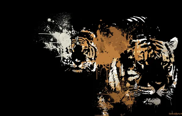 Picture animals, predators, art, color, black background, tigers