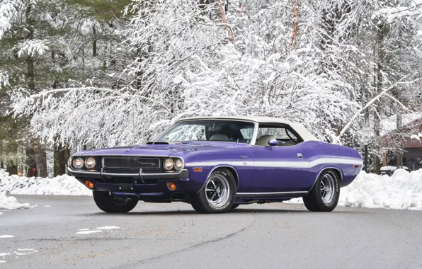Snow, background, Dodge, Dodge, Challenger, 1970, Muscle car, Convertible