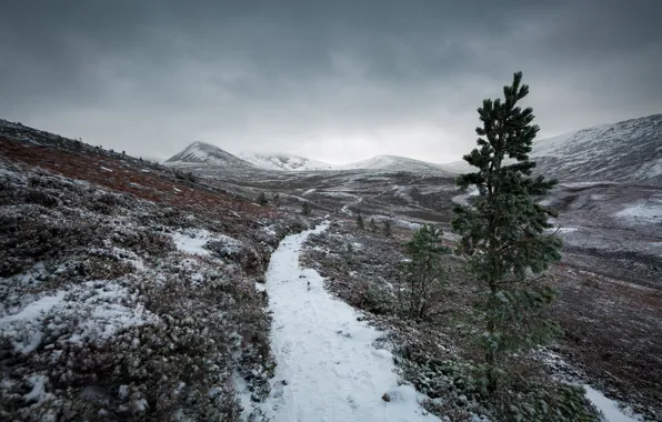Picture nature, mountains, winter