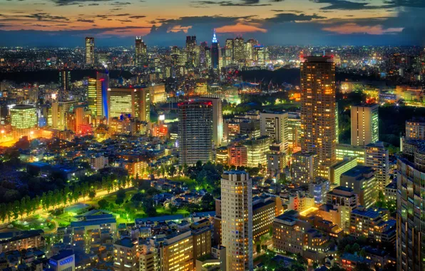 Lights, home, the evening, Japan, Tokyo, megapolis