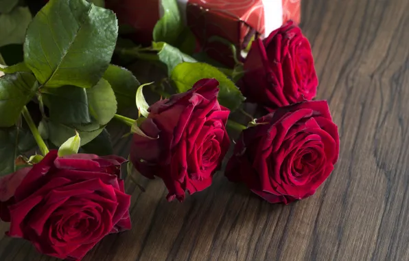 Red, love, romantic, gift, roses, red roses, valentine`s day
