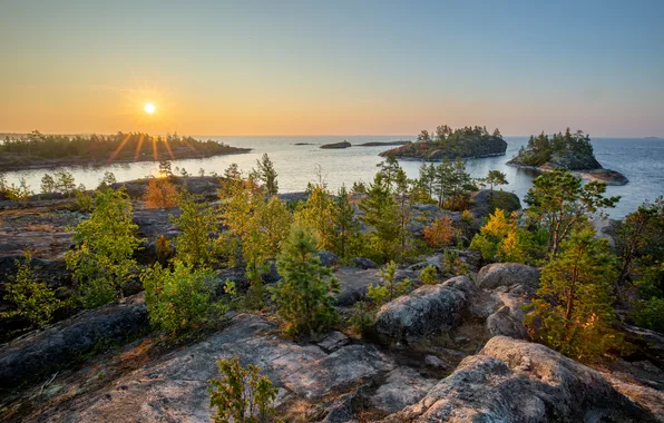 Trees, The sun, horizon, space, pond, boulders, Ilya Semin, Ladoga at dawn