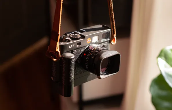 Background, camera, Leica M