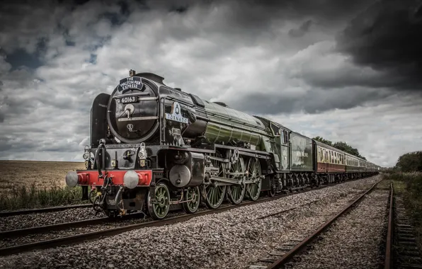 Train, the engine, railroad