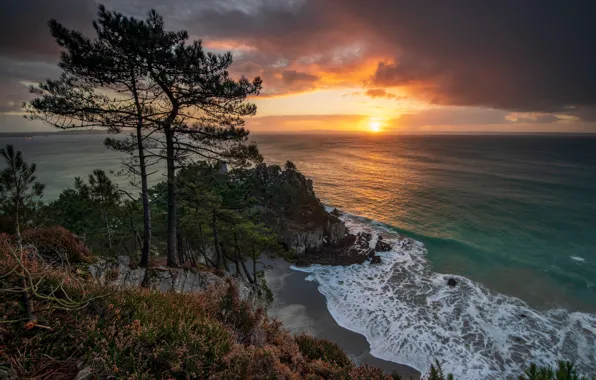 Trees, sunset, rock, the ocean, coast, France, pine, France