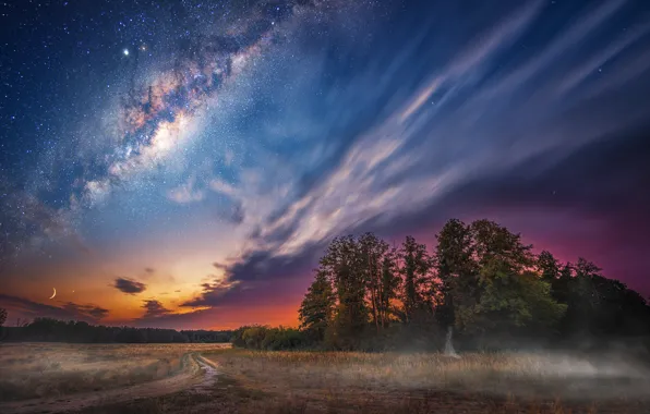 Landscape, night, nature, beauty