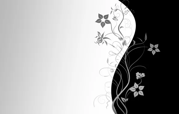 Flowers, Wallpaper, pattern, vector, texture, wallpaper, black background, grey background