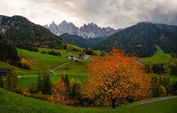 Road, greens, autumn, forest, the sky, clouds, mountains, tree