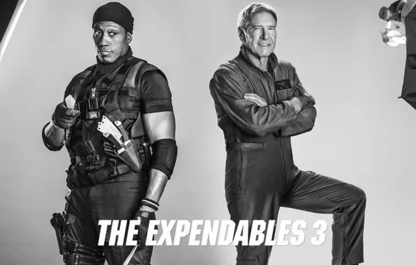 Picture hat, black and white, pilot, knives, jumpsuit, Harrison Ford, Harrison Ford, Wesley Snipes