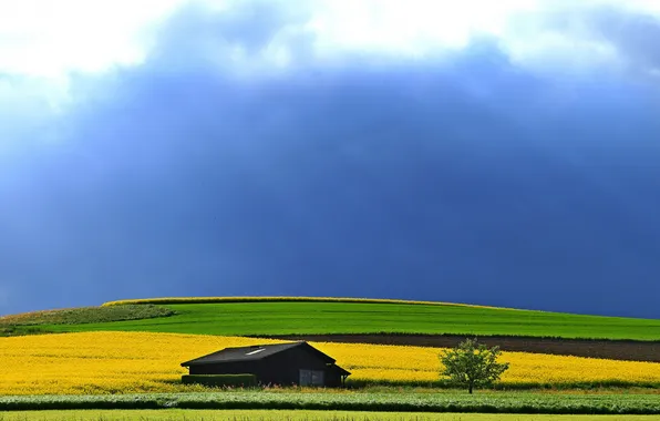 Picture field, summer, the sky, landscape, house