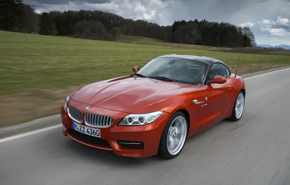 Picture grass, trees, BMW, Roadster, 2013, E89, BMW Z4, Z4