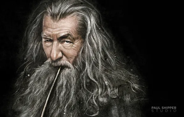 Picture art, The Lord of the rings, The Lord of the Rings, the wizard, Gandalf, Gandalf, …