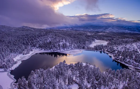 Picture winter, forest, the sky, clouds, trees, lake, panorama, AZ