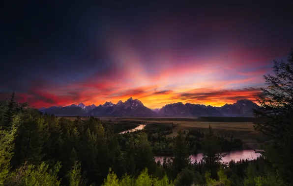 Forest, the sky, clouds, sunset, mountains, tops, dal, the evening