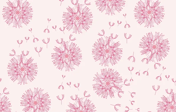 Flowers, pink, Dandelion, pink, dandelion