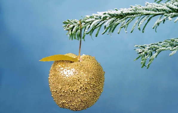 Holiday, new year, Apple, Christmas, spruce, branch, christmas, new year