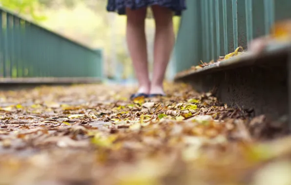 Picture leaves, girl, macro, background, Wallpaper, feet, yellow, green