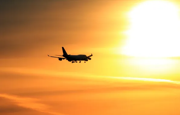 The sky, sunset, the plane