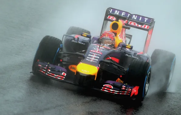Picture Racer, Japan, Formula 1, Rain, Sebastian Vettel, Champion