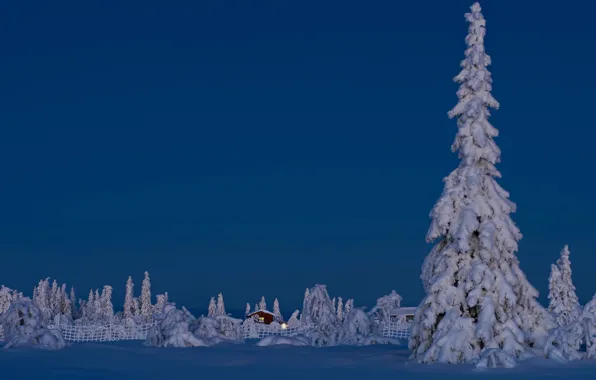Winter, snow, trees, spruce, house, Sweden