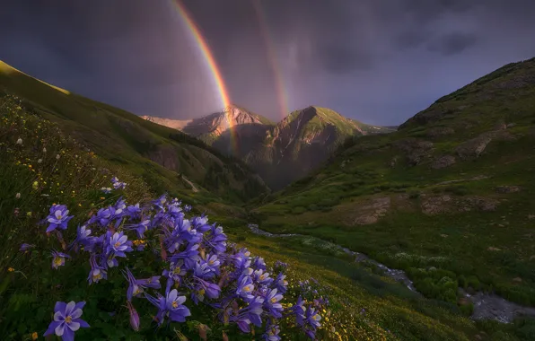Landscape, flowers, mountains, nature, stream, rainbow, valley, Colorado