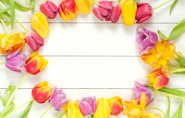 Flowers, bouquet, spring, frame, colorful, tulips, fresh, wood