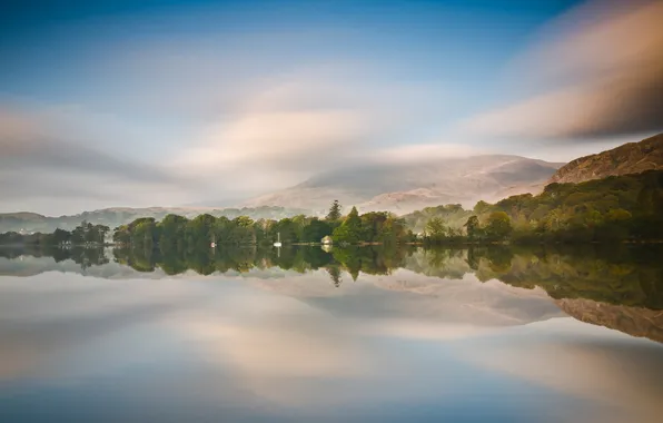 The sky, trees, reflection