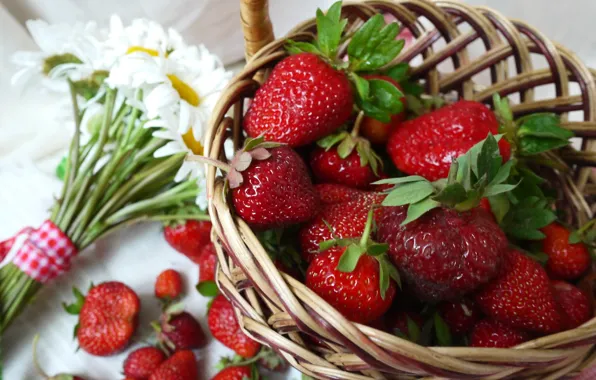 Picture basket, chamomile, strawberry